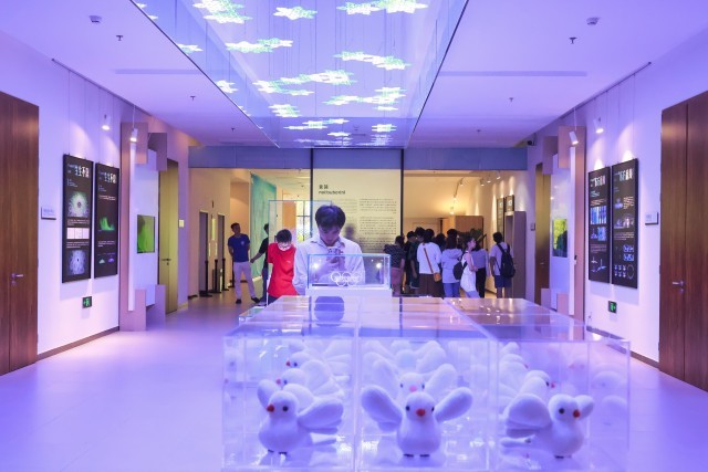 展架陳列展示道具廠家(圖1)